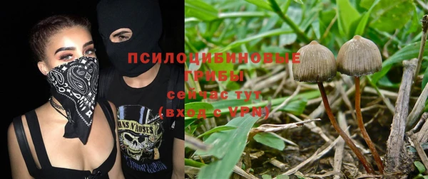 винт Верея