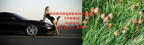 винт Верея