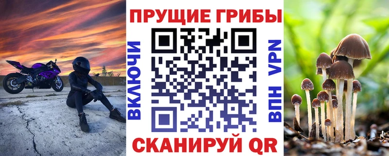 Галлюциногенные грибы MAGIC MUSHROOMS купить сайты Кемерово